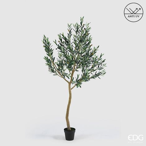 EDG Enzo De Gasperi Olivo con Vaso H 200 Cm Pianta Artificiale Anti Uv Verde