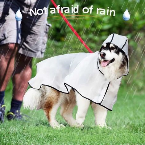 Imperméable pour Chien - FOLAYA - Modèle Givré Transparent - 100% Étanche - Poignets Élastiques - Taille 8XL (1/3)