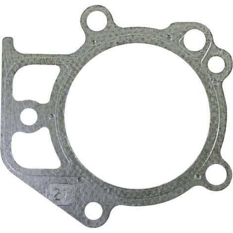 Joint de culasse BRIGGS ET STRATTON 697690