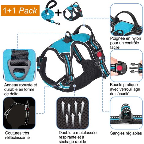 Harnais pour chien réglable avec laisse robuste 1,5m, ensemble harnais réfléchissant et confortable pour promenades et assistance, taille ajustable pour petits, moyens et grands chiens