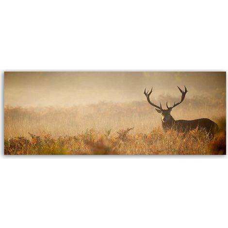 Tableau panoramique cerf majestueux dans la brume (1/5)