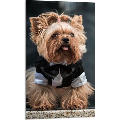 Glasschneidebrett 30x52 Hund