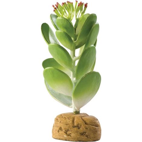Exo Terra Cactus Artificial Jade - Planta Artificial Cactus Jade