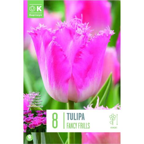 Bulbi di Tulipano Fringed Fancy Frills 8 pz Kapiteyn