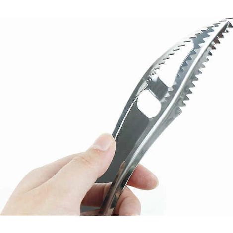1 brosse de nettoyage pour écailles de poisson en acier inoxydable (1/2)