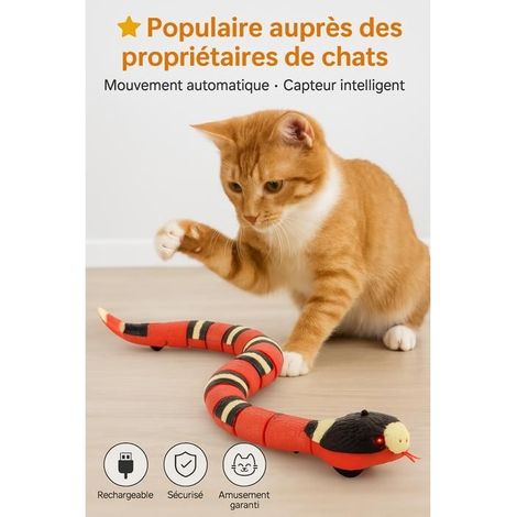 Jouet serpent à détection intelligente - PWSHYMI - Coloré - Durable - Pour chats - Intérieur (1/5)