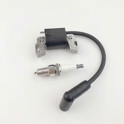 Zündspule für Briggs & Stratton Motor 799582 798534 593872 595009 (Rasenmäher) (1/5)