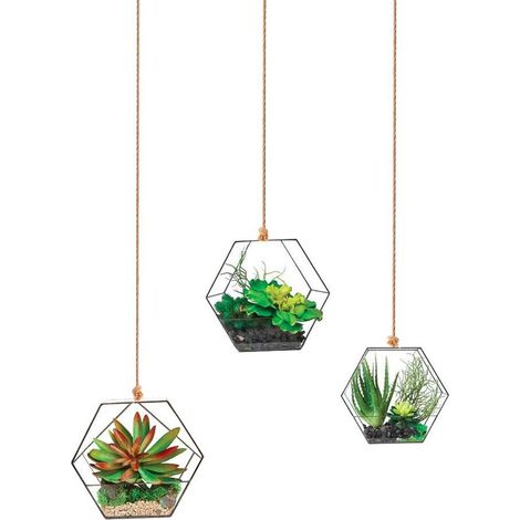Autocollant Mural Suspensions Plantes (1/2)