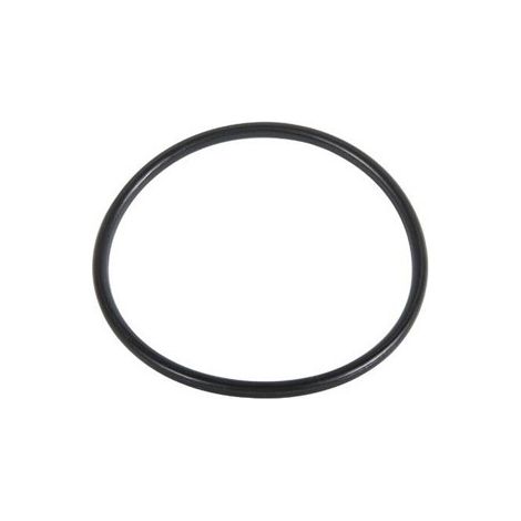 O.RING PER FILTRO 244-HYMFI 48.90 x 2.62 - Tipo E IRRIT