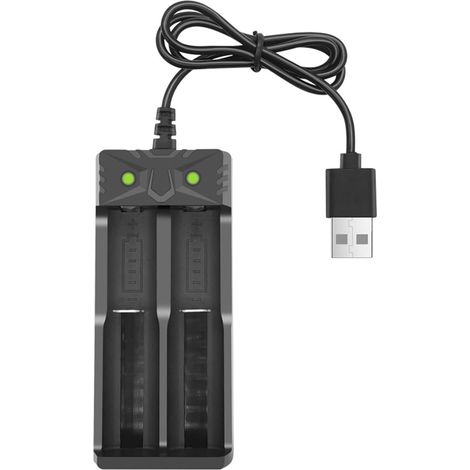 Chargeurs de batterie 18650 2 lignes 5V USB pour (1/5)