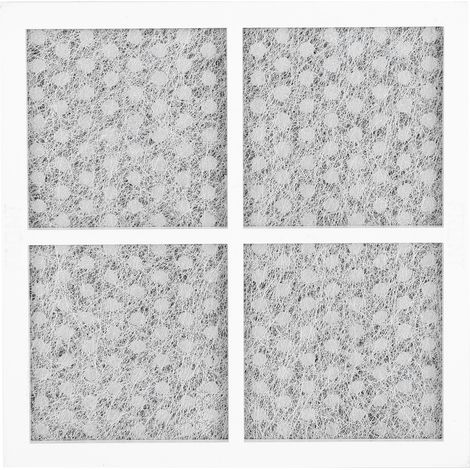 Filtre à charbon actif pour réfrigérateur LG LT120F – Accessoire purificateur d'air (1/5)