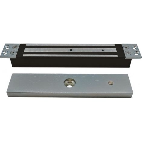 Ventouse encastrée 300 kg ou 600 lbs 12/24 v V300B AIPHONE 100320