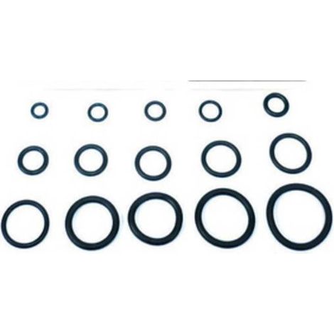 O-RING  8,00X1,90 P/FLESSIBILE MISCELATORE PZ.100