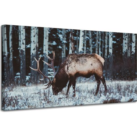 Leinwanddruck Tiere Kanadischer Hirsch 120x60
