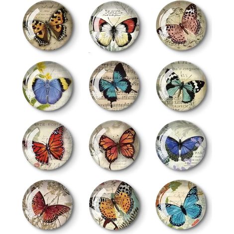 Ensemble D'aimants de Réfrigérateur de 12 Pièces Décoration Aimant Frigo Frigo Magnétique Aimant de Réfrigérateur Decoratif Pièces Aimant Frigo Convenable pour Présentations suspendues (1/5)