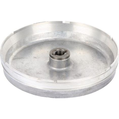 Ruota alveoli barbabiet Z6 lar KVERNELAND KLEINE KL810907 (1/2)