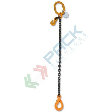 Robur 8096SL D10 Pendente Self-Locking con accorciatore 1 braccio 3,15 T - 3 m (1/2)