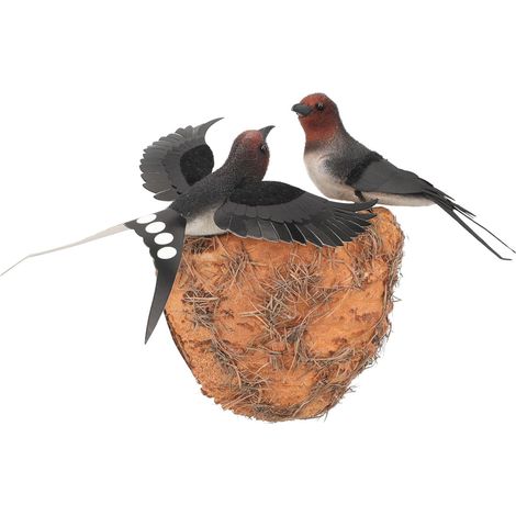 Nid D'oiseau Modèle de Nid D'hirondelle Artificiel en Résine et Plume, Décoration Murale Réaliste Facile à Installer, Ensemble 1 Pièce pour Patio et Ferme (1/5)