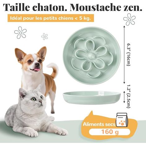 Gamelle Chat Mélaminé - Gamelles à Alimentation - Fleurs Labyrinthe - Lot Blanc, Vert et Bleu (1/4)