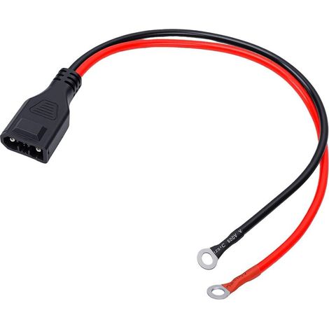 Câble de Batterie 50A de Remplacement pour EcoFlow 2 3, 8AWG 1,64FT (1/5)