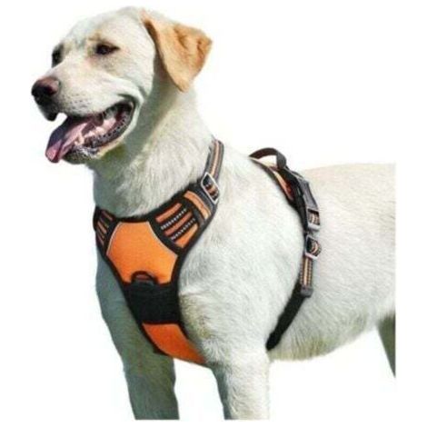 PA Harnais pour chien orange, taille L, harnais anti-traction réfléchissant réglable, facile à porter, avec poignée de contrôle, respirant et durable, harnais pour chien de taille moyenne. (1/4)