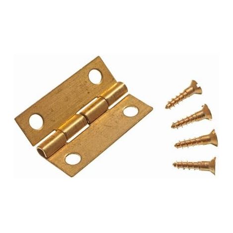 Lot de 20 mini charnières pour boîte à bijoux en laiton massif 25 mm + broches (1/2)
