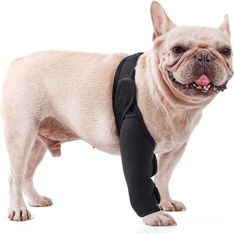 rodilleras para perros, soporte transpirable para las articulaciones, protección de malla para las patas, recuperación de lesiones (1/5)
