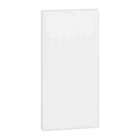 BTIKW8100 Attrappe einer Stange – Abdeckung für Attrappe der Stange K4950 – 1 Modul