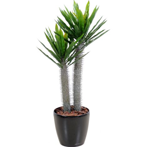 Plante artificielle haute gamme Spécial extérieur / Pachypodium artificiel - Dim : 100 x 50 cm -PEGANE- (1/2)