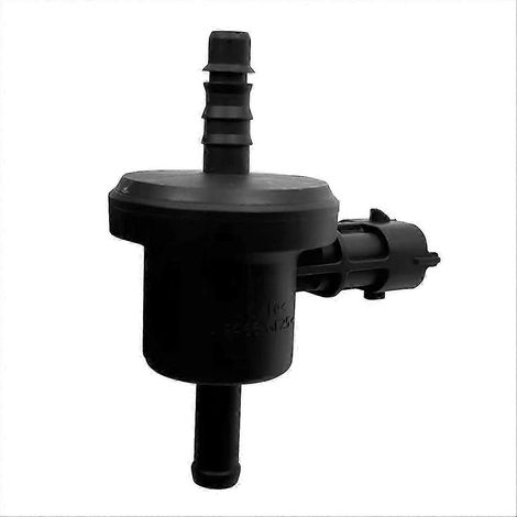 Électrovanne de purge de dépression en carbone 0280142507 pour Ford Ranger 2.5L (2016-2019) et Figo 1.5L (02801-4), de bonne qualité. (1/5)