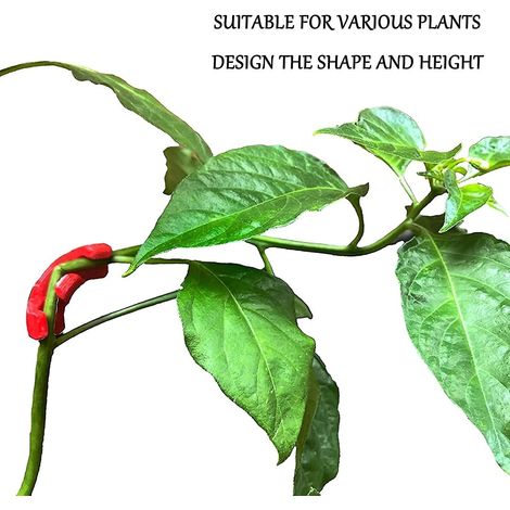 Lot de 10 pinces de tuteurage à 90 degrés pour plantes, à faible tension, pour le contrôle de la hauteur et le modelage des branches en jardinage. (1/4)