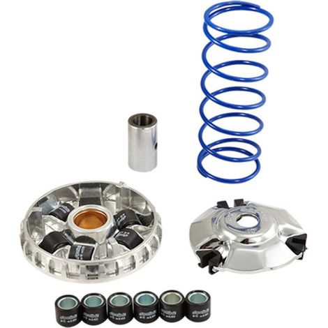 Variateur Polini pour Scooter Peugeot 125 Citystar 241.723 / Hi (1/5)