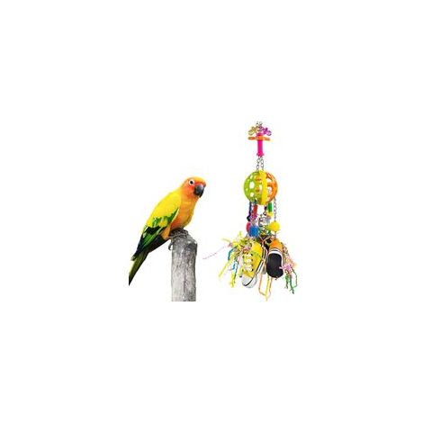 Vogelspielzeug, interaktives Kauspielzeug, bunte, herausziehbare Turnschuhe und Acrylstäbe für mittelgroße Papageien wie Mönchsittiche, Weißbauchpapageien und Senegalpapageien sowie kleine Papageien w