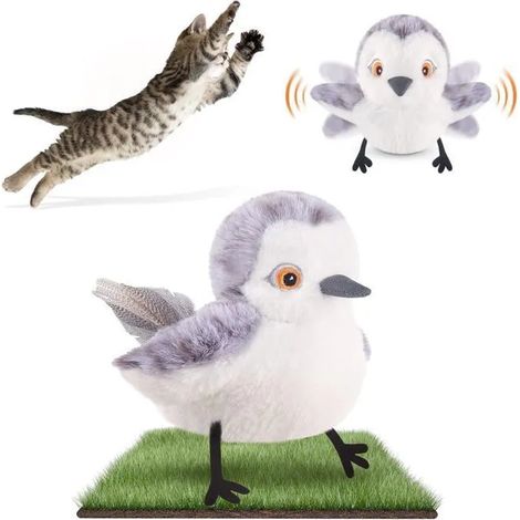 Jouet Oiseau Volant pour Chat – Oiseau qui Bat des Ailes et Émet Sons Réalistes, USB Rechargeable (1/5)