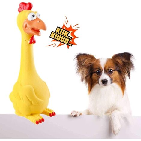 Poulet en caoutchouc jaune couineur, jouet pour animaux de compagnie, jouet pour chien, jouet à mâcher, indien (1/5)