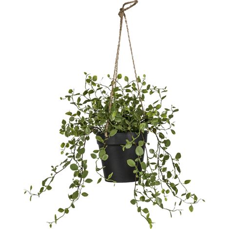 Mömax Kunstpflanze Mühlenbeckiaampel Grün ca. 31cm