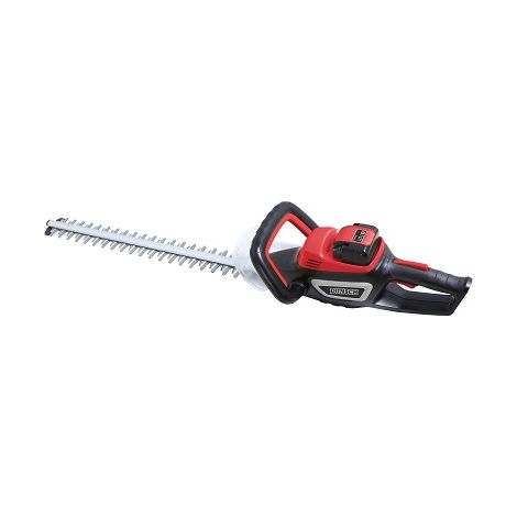 Tagliasiepe a Batteria Dunsch 180W