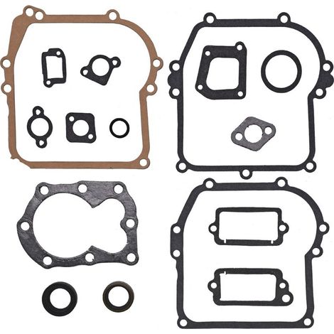 Gaskets, Briggs & Stratton, 590777, Engine 794209, 699933, 298989 (1/5)