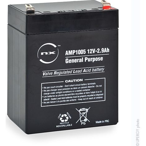 NX – Batterie plomb AGM 12V 2.9Ah – Technologie étanche – Compatible Invacare Birdie et autres modèles – Poids 1.1 kg