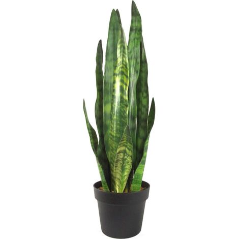 70cm Artificial Sansevieria Zeylanica Plant (1/5)
