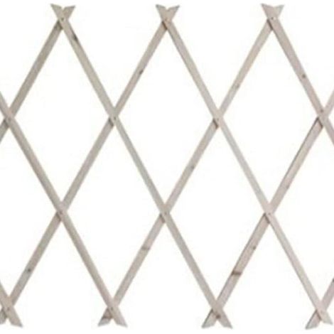 TrAdE Shop Traesio - Traliccio Estensibile In Legno Naturale Chiaro Piante Rampicanti Giardino 180x60cm 222729 - (1/3)