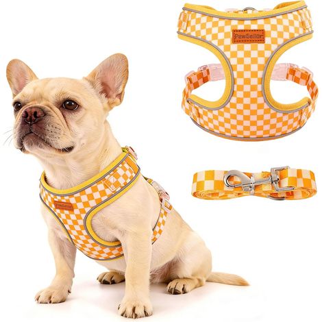 Harnais pour Chien avec Laisse Anti-Traction Jaune S (1/5)