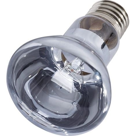 Lampadina riscaldante al neodimio Repti-Zoo, luce diurna, 35W - (1/5)