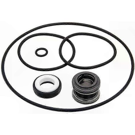 Wellendichtung und Ersatz-O-Ring-Set für XP2-, XP2E-, AquaFlo- und Flo-Master-Poolpumpen, Dichtungszubehör (1/5)