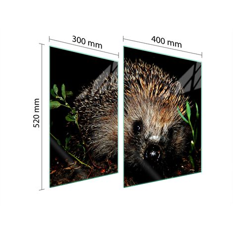 GLASSCHUTZPLATTE FÜR HERD 70x52 IGEL