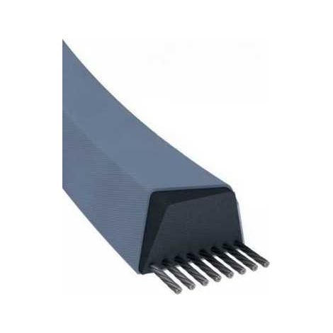 Courroie tondeuse Z27,5 trapézoïdale  10 x 737 mm (1/5)