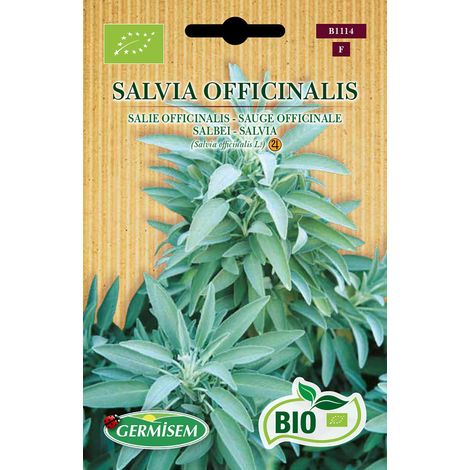 Bio Graines Sauge officinale SALVIA OFFICINALIS