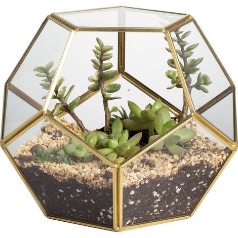 Terrarium en Forme de dodécaèdre et plaques de Verre pentagonales pour Plante Transparent Gold Copper Transparent Pas de Plantes