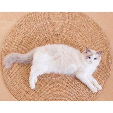 Tapis Jute Rond 40cm Extérieur, Résistant Intempéries UV, Naturel Terrasse Jardin (1/4)