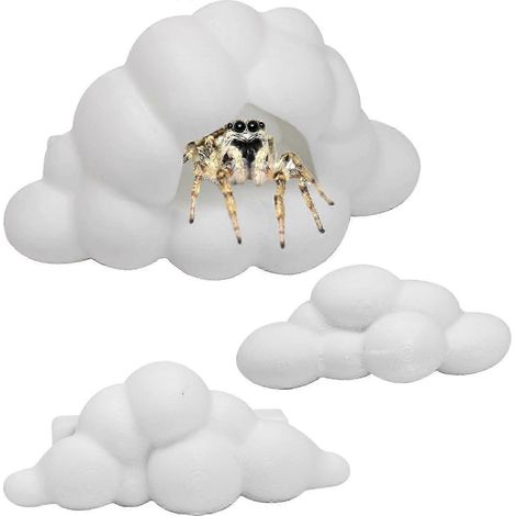 Ensemble de 3 accessoires pour terrarium d'araignées sauteuses : mangeoire blanche, fixation magnétique pour l'escalade, aire de repos et d'exploration. (1/4)
